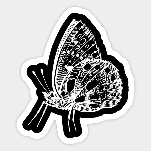 Dramabite Vintage butterfly illustration Sticker by dramabite